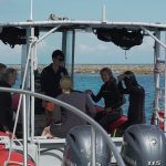 Divers prepare for in-water survey activities