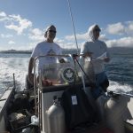 Scientists drive a research boat to a survey site in Hawaii